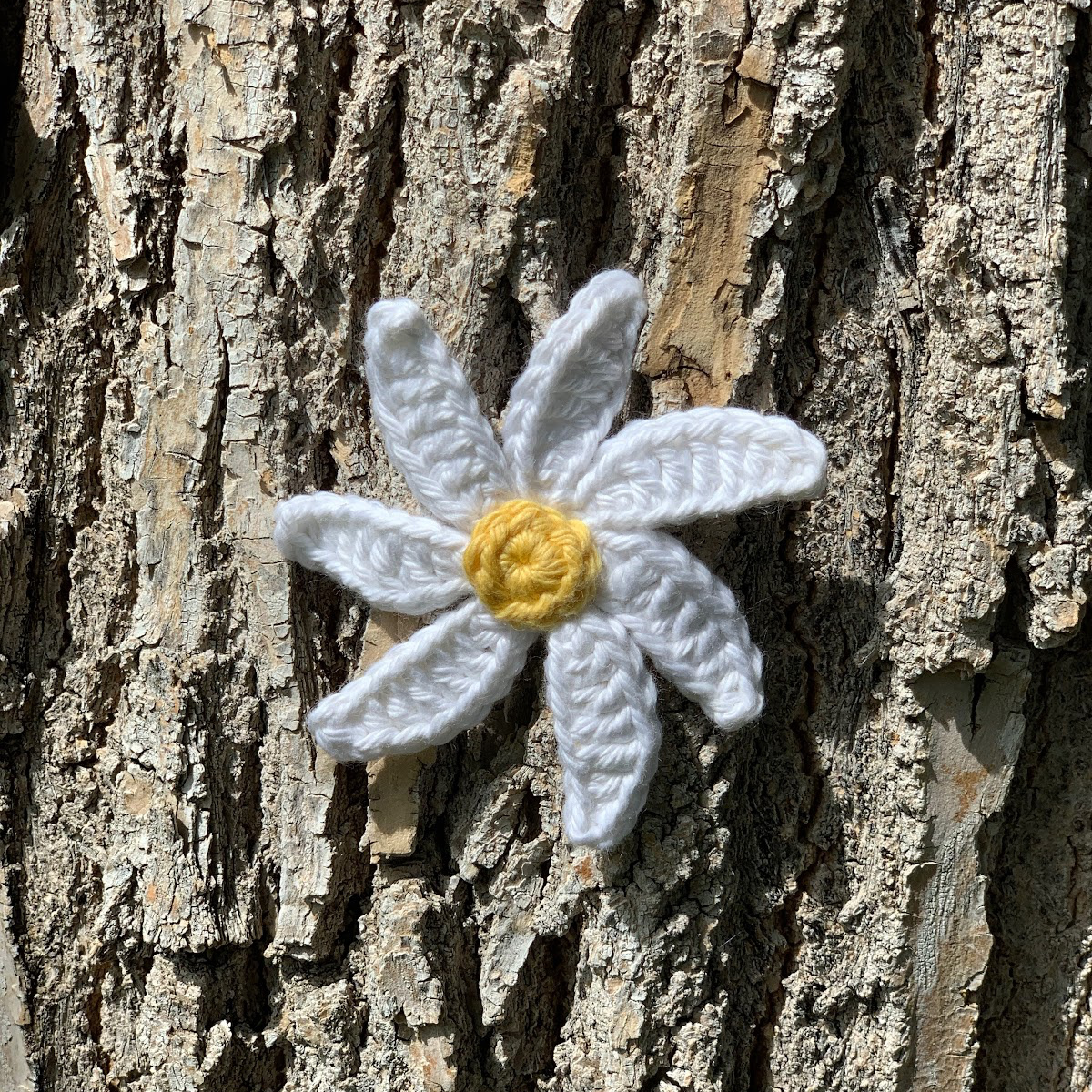 Daisy-FTD.jpg